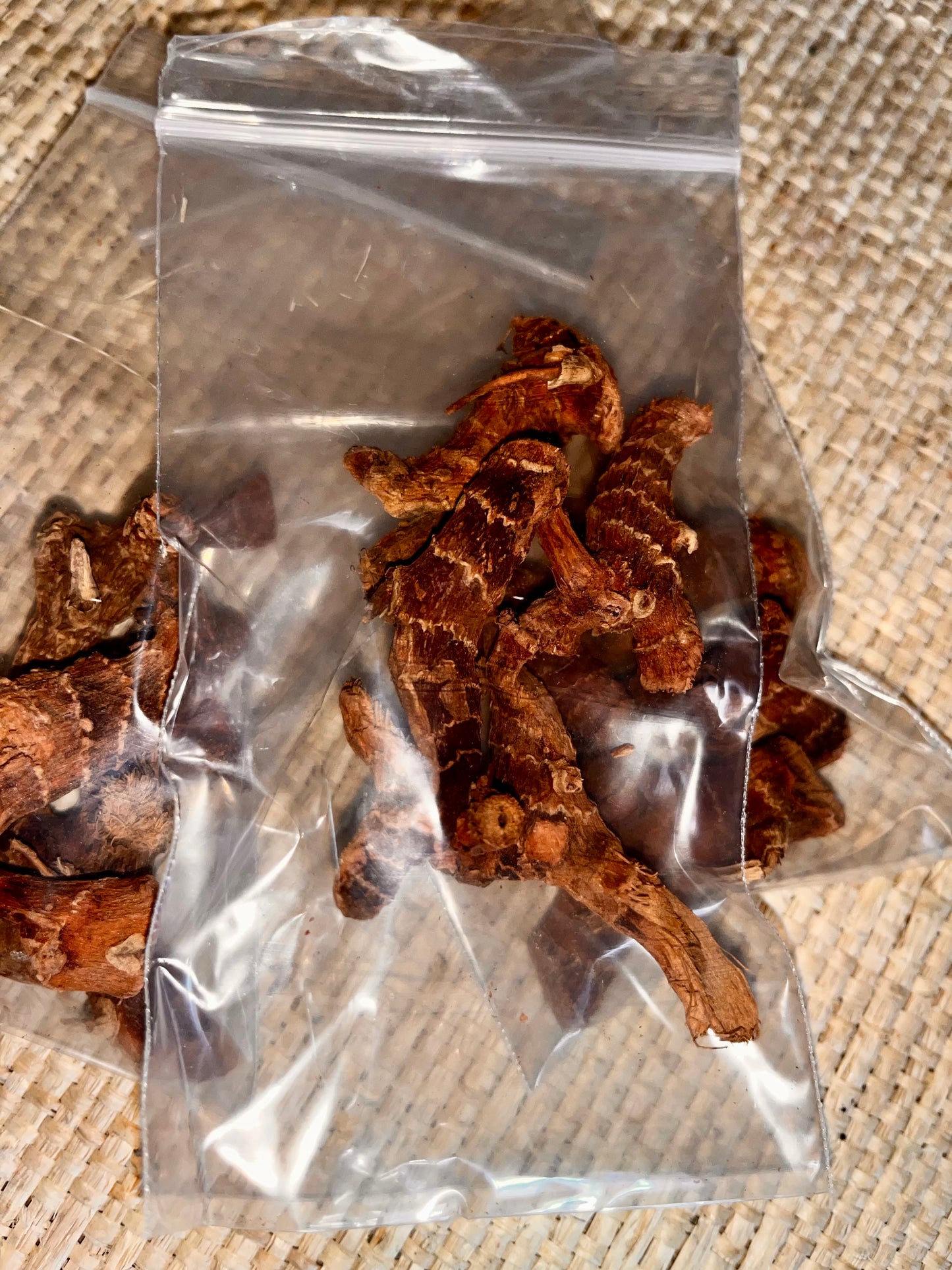 Chewing John Root (Galangal) – The Court Case & Legal Favor Root