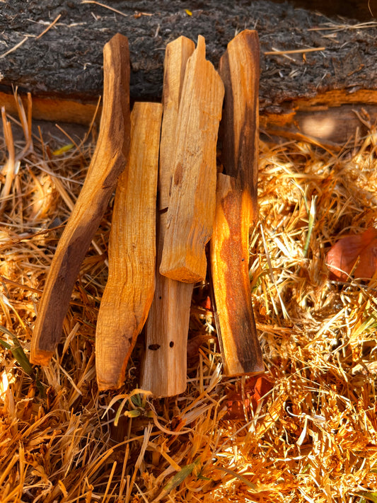 🌿 Palo Santo Bundles